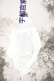 宇都宮紫苑ssni