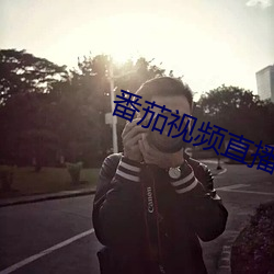 番茄视(視)频直播