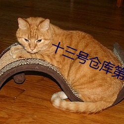 十三号仓库第四季