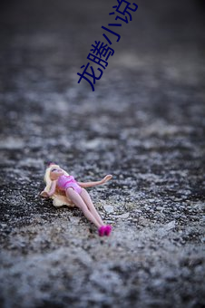龍騰小說