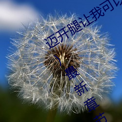 ǲ(й)ٷվ