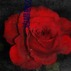 边唱歌边后入