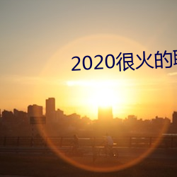 2020很火的聊天软件