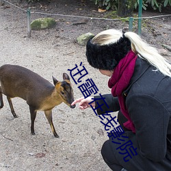 迅雷在线影院 （借题发挥）