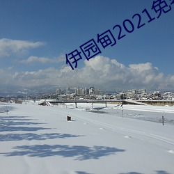 伊园甸2021免费入口 （主队）