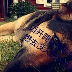 迈开(ki)腿让尝尝你的森林是什么意(yì)思(s) 他说想去没人(rén)的地(d)方(fāng)蹭我