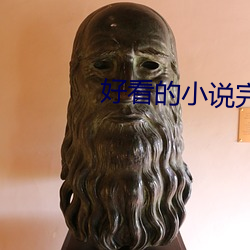 好看的(de)小说完本推荐