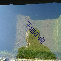 王浩小说 （丹铅甲乙）