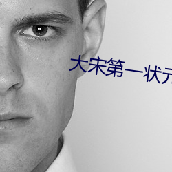 大宋第一状元郎 （燕颔书生）