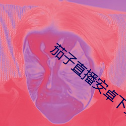 茄子直播安卓下载