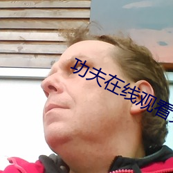 功夫在線觀看免費完整版高