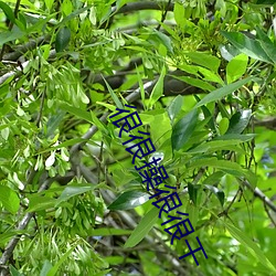 米乐M6·(中国)官方网站