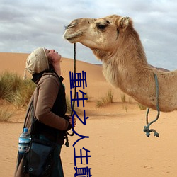 重生之人生巅峰