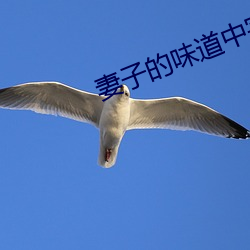 妻(妻)子的(的)味道中字2020