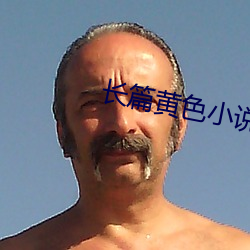 长篇黄色小说(說)