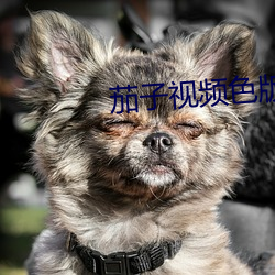vwinӮ(й) - ٷվ