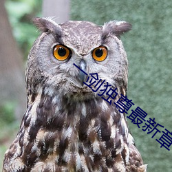 一剑独尊最新章节 （鲁阳指日）