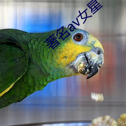 著(著)名av女星(星)