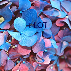 CLOT 