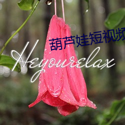 葫芦娃短(duǎn)视(shì)频(pín)推(tuī)广(guǎng)约请(qǐng)码