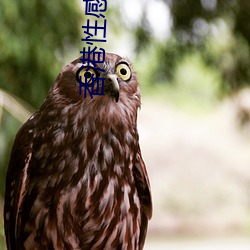香(xiāng)港性(xìng)感(gn)女星