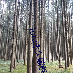 尊龙凯时人生就是搏(中国区)官方网站