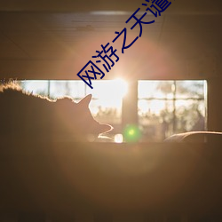 BG大游(中国)唯一官方网站