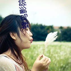 蜂(蜂)鸟影院