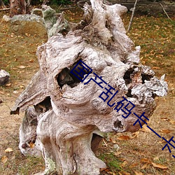 国产(chǎn)乱码卡(kǎ)一卡(kǎ)二卡三新区(qū)