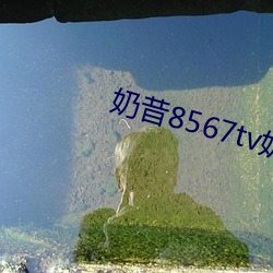 918博天堂·(中国)手机版客户端
