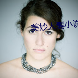 美妙人妻小说