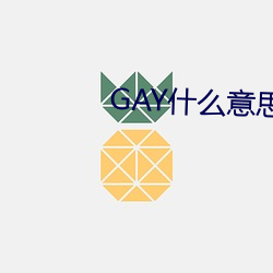 GAY什么意(意)思(思)