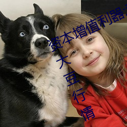 ǲ(й)ٷվ