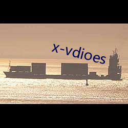 x-vdioes （论德使能）