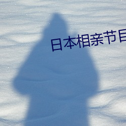 日本相亲节目