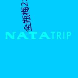 金瓶梅2:愛的奴隸
