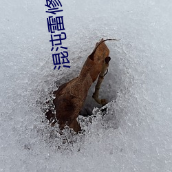 混沌雷修