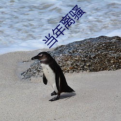 欧博abg - 官方网址登录入口