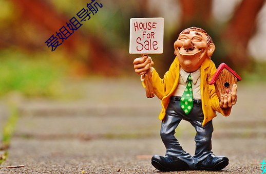 爱(ài)姐姐(jiě)导(dǎo)航