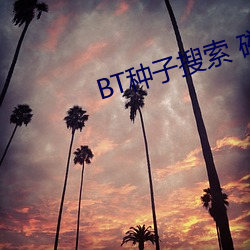 BT種子搜索 磁力屋
