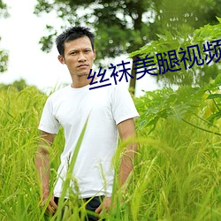 丝袜(wà)美腿(tuǐ)视(shì)频