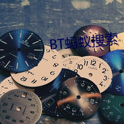 BT螞蟻搜索