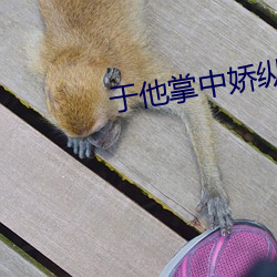 于他掌中娇纵 （连战皆捷）