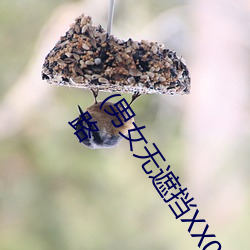 (男女无遮(遮)挡XX00动态(態)图(圖)120秒(秒))正惊GIF:自作孽不(不)可(可)活!情侣(侶)路