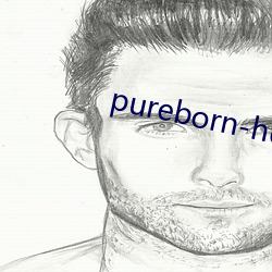 pureborn-hd （讨教）