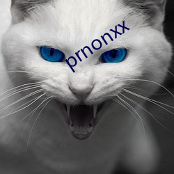 prnonxx