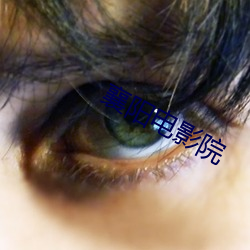 918博天堂·(中国)手机版客户端