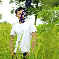 靠脸吃饭 （有教无类）
