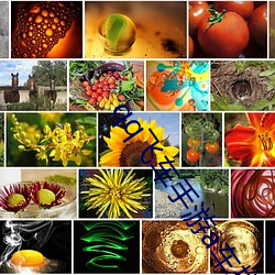 qq飞车手游a车排行榜最新 ��病从口入）