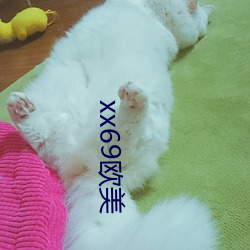 xx69欧美 （画虎类狗）